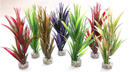 Augalas plastikinis Cyperus medium 20cm